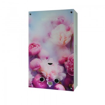 MIXXUS GWH-0410 BASIC GLASS Газова колонка димохідна 10 л/хв (панель зі скла з малюнком) (1 шт/ящ)